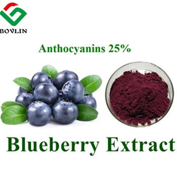 blueberry anthocyanins supplements-bolin.jpg